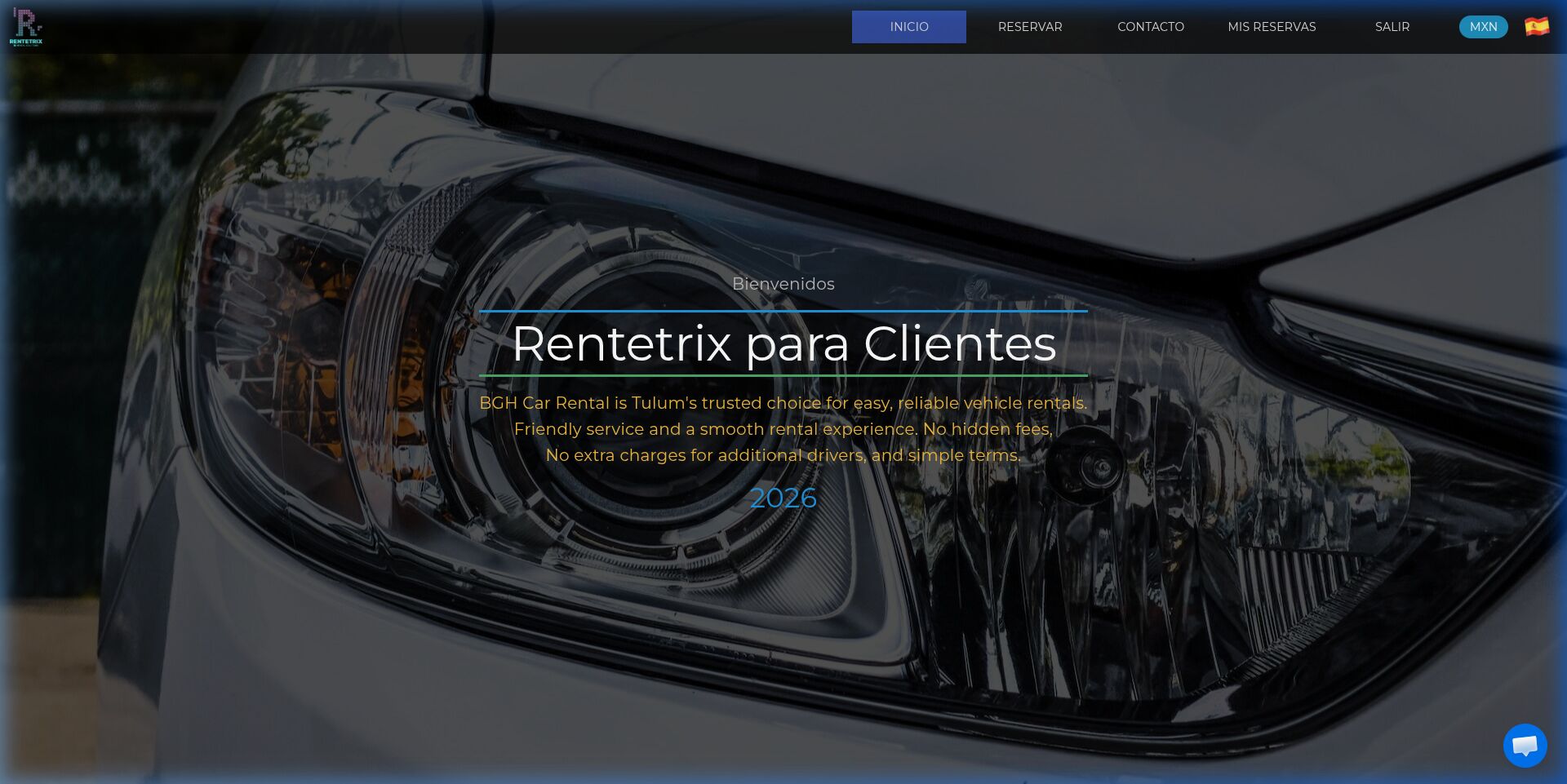 Website